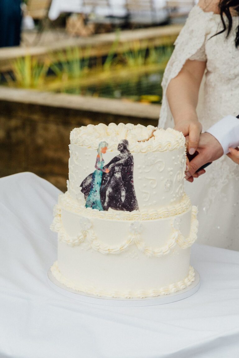 Star Wars und Disney Hochzeit - Elsa und Julian