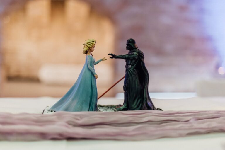 Star Wars und Disney Hochzeit - Elsa und Julian